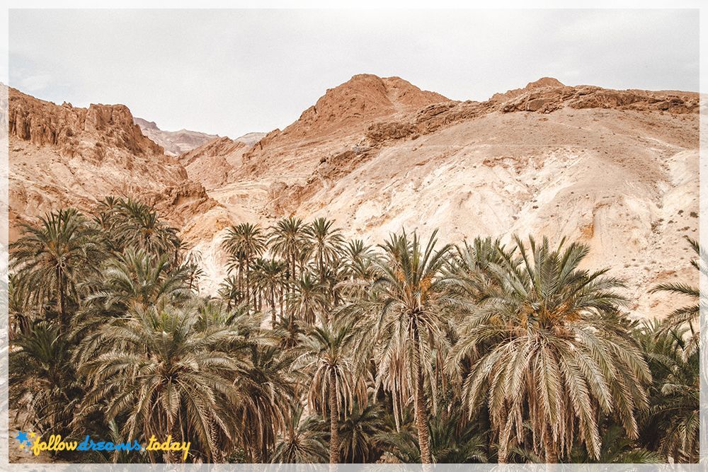 excursion to sahara desert in tunisia