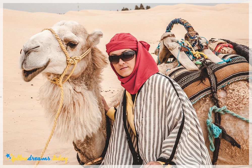Camel on Sahara Desert